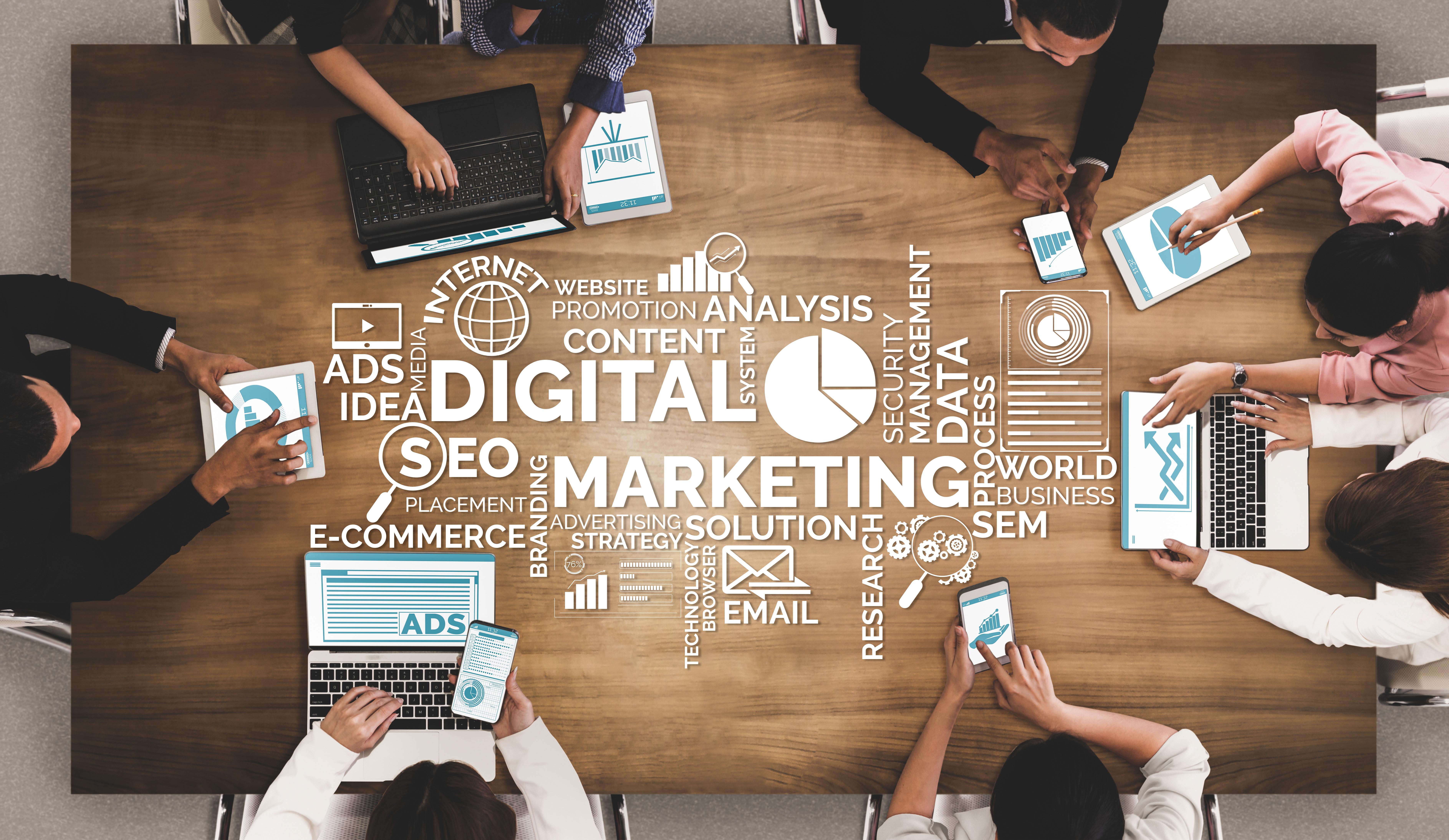 Marketing & Sales